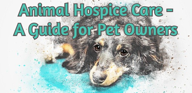 Animal Hospice Care