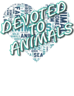 Devoted to Animals