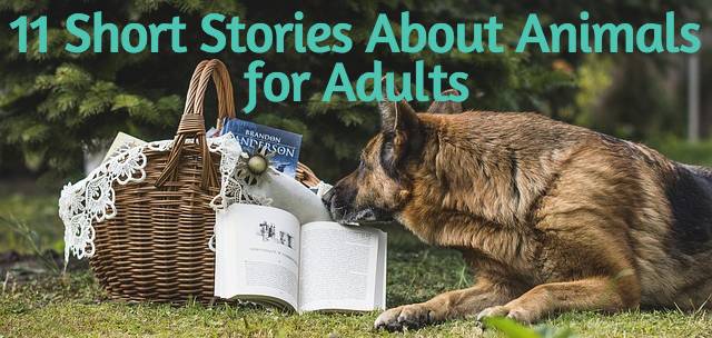 11 Short Stories About Animals for Adults