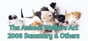 The Animal Welfare Act 2006 Summary & others | Devoted to Animals