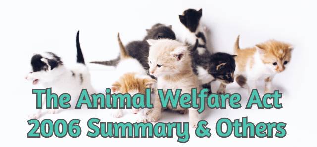 the-animal-welfare-act-2006-summary-others-devoted-to-animals