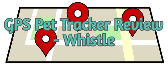 gps-pet-tracker-whistle-review