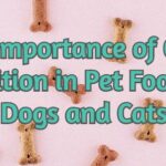 The Importance of Good Nutrition in Pet Food for Dogs and Cats
