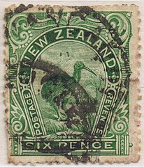 Kiwi Bird on a New Zealand Stamp