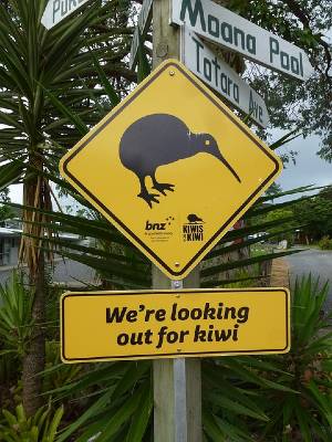 Kiwi Bird Road Sign