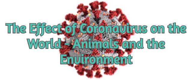 photo-of-the-effect-of-coronavirus-on-the-world