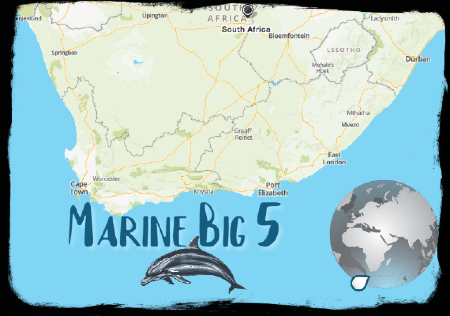 Marine Big 5 map