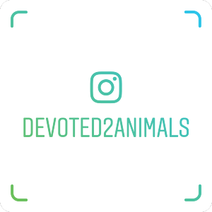 devoted2animals_nametag