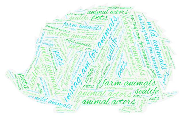 instagram-for-animals-hedgehog-word cloud