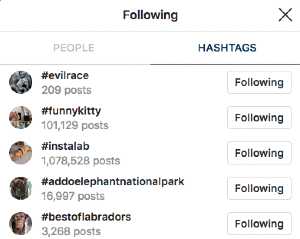 instagram-for-animals-ighashtags