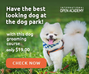 Animal Grooming - Dog in the Park - 19 USD