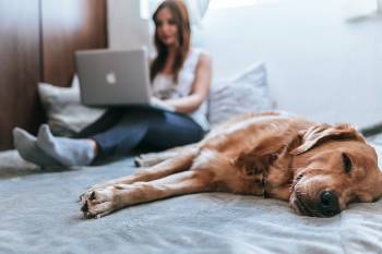 online-animal-courses-woman-learns-dogs