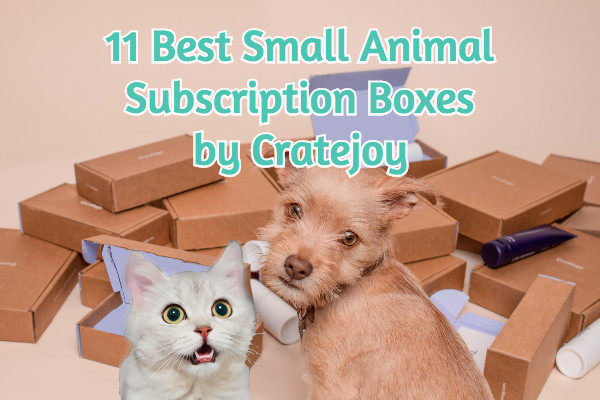 Small animal deals subscription box